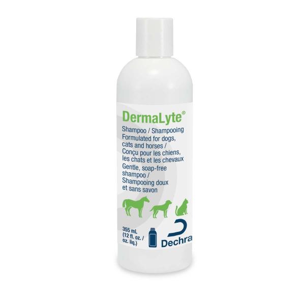 DermaLyte Shampooing Shampooing
